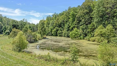 Nestled in scenic Northwest Georgia just minutes from - photo 46