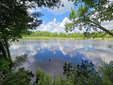 Lake Julia Lot For Sale in Rhinelander Wisconsin