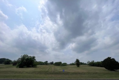 Lake Lot For Sale in Streetman, Texas