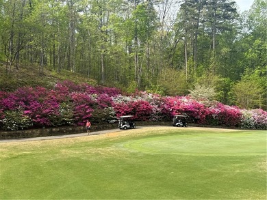 Super Affordable Amenity Lake Living at Lake Keowee - photo 42