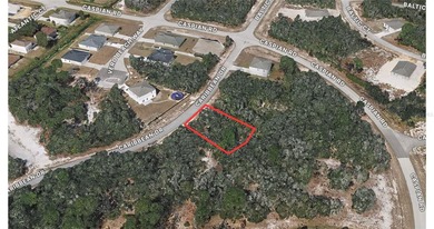 Lake Marion - Polk County Lot For Sale in Kissimmee Florida