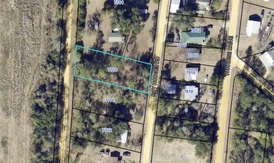 Lake Seminole Lot For Sale in Donalsonville Georgia