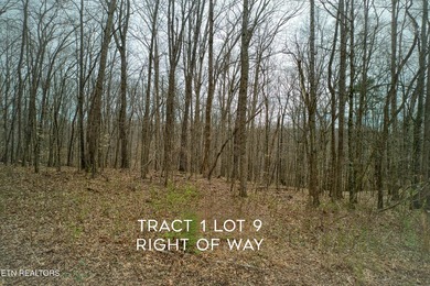 This beautiful heavily wooded pristine acreage is untouched & - photo 11