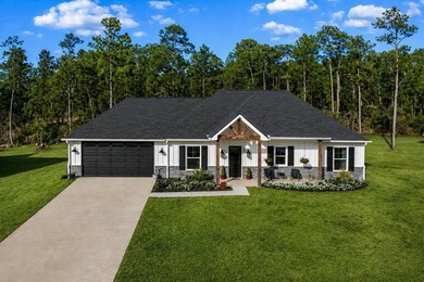 This beautiful home offers the perfect blend of comfort and - photo 1