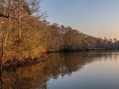 (private lake, pond, coastal) Acreage For Sale in Spanish Fort Alabama