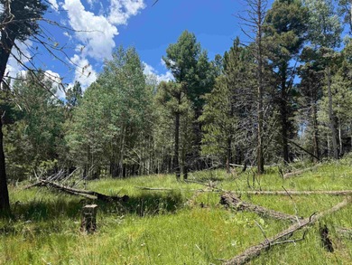 Monte Verde Lake Lot For Sale in Angel Fire New Mexico