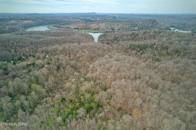 This beautiful heavily wooded pristine acreage is untouched & - photo 23
