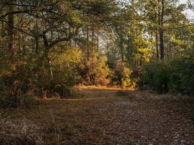 This highly versatile, divisible, and ONLY large-scale - photo 6