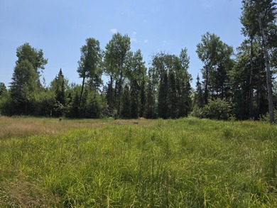 Escape to your own modern off-grid homestead on 78 private acres - photo 35