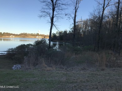 (private lake, pond, creek) Acreage For Sale in Madison Mississippi