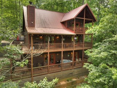 Lake Home For Sale in Ellijay, Georgia