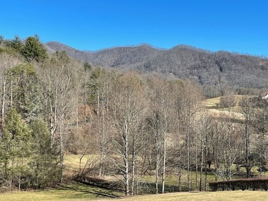 Beautiful corner lot located in Mountain Harbour is just what - photo 3