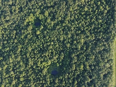 (private lake, pond, creek) Commercial For Sale in Blackwell Arkansas