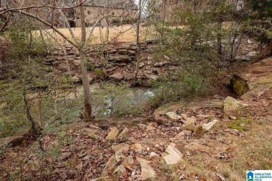 Lake Lot Off Market in Hoover, Alabama