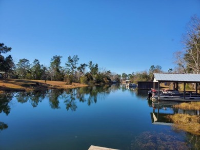 Lake Home For Sale in Donalsonville, Georgia