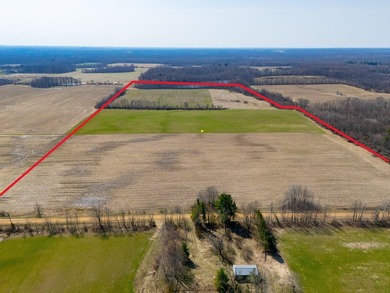 77.30 ACRES with frontage on Davis Lake in Waverly Township IS - photo 1