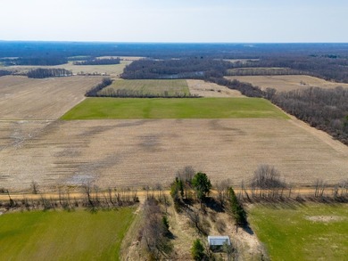 77.30 ACRES with frontage on Davis Lake in Waverly Township IS - photo 2