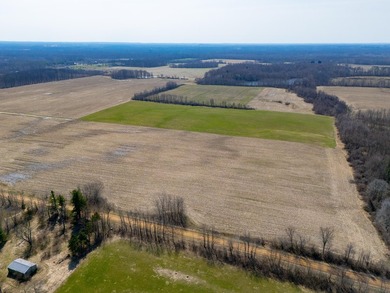 77.30 ACRES with frontage on Davis Lake in Waverly Township IS - photo 3