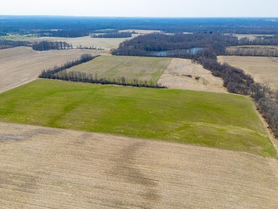 77.30 ACRES with frontage on Davis Lake in Waverly Township IS - photo 4