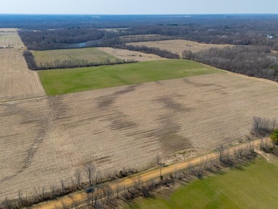 77.30 ACRES with frontage on Davis Lake in Waverly Township IS - photo 5