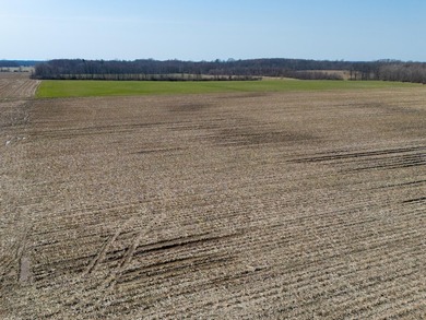 77.30 ACRES with frontage on Davis Lake in Waverly Township IS - photo 6