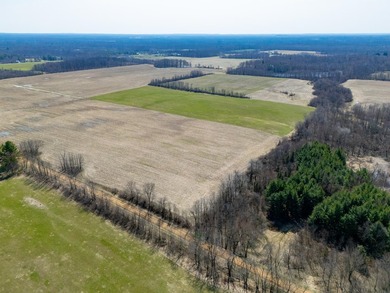 77.30 ACRES with frontage on Davis Lake in Waverly Township IS - photo 7