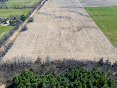 77.30 ACRES with frontage on Davis Lake in Waverly Township IS - photo 8