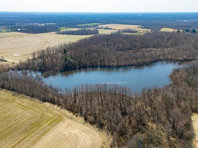 77.30 ACRES with frontage on Davis Lake in Waverly Township IS - photo 9