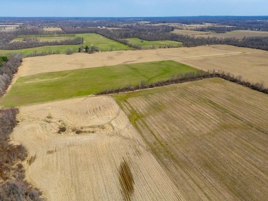 77.30 ACRES with frontage on Davis Lake in Waverly Township IS - photo 10