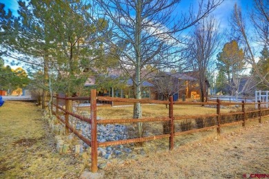 Over  1/2  acre on the Pagosa Springs Golf course with a - photo 33