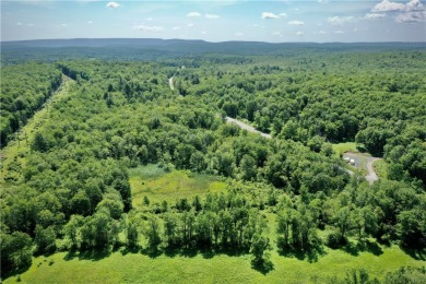 (private lake, pond, creek) Acreage Sale Pending in Ellenville New York