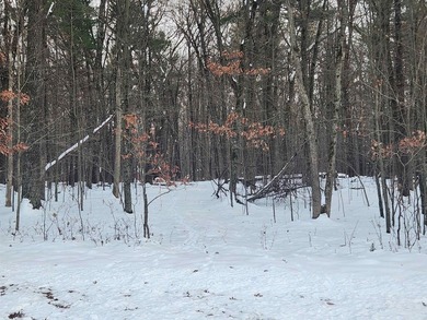 Petenwell Lake Deeded Access Lot! Create your perfect Northwoods - photo 4
