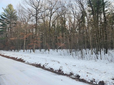 Petenwell Lake Deeded Access Lot! Create your perfect Northwoods - photo 5