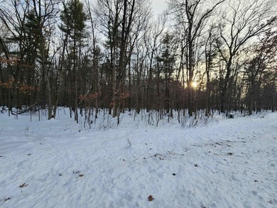 Petenwell Lake Deeded Access Lot! Create your perfect Northwoods - photo 6
