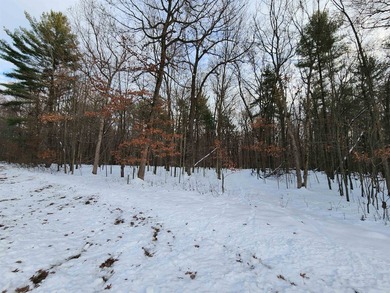 Petenwell Lake Deeded Access Lot! Create your perfect Northwoods - photo 7