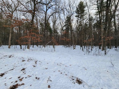 Petenwell Lake Deeded Access Lot! Create your perfect Northwoods - photo 8