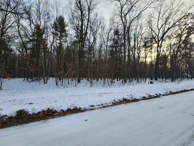 Petenwell Lake Deeded Access Lot! Create your perfect Northwoods - photo 9