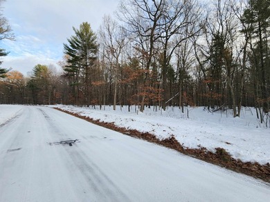 Petenwell Lake Deeded Access Lot! Create your perfect Northwoods - photo 10