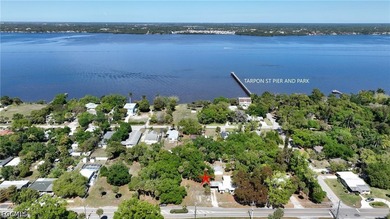 Charming single family home located near downtown Ft Myers! - photo 4