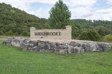 (private lake, pond, coastal) Lot For Sale in Saddlebrooke Missouri