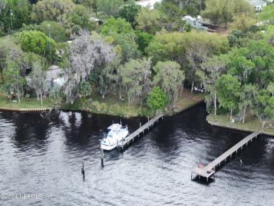 Lake Lot For Sale in Crescent City, Florida