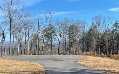 NORTH GEORGIA MOUNTAIN LOT IN UPSCALE GATED COMMUNITY Located in - Lake Lot For Sale in Blairsville, Georgia
