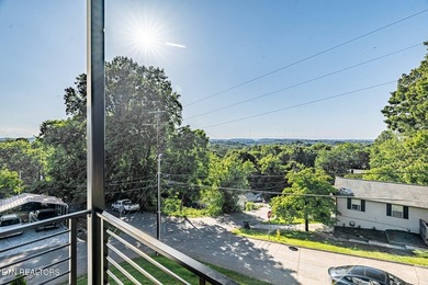 Welcome to 2600 Vucrest Ave, a newly constructed, luxury modern - photo 27