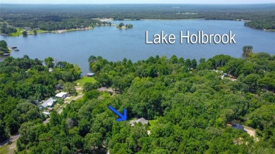 Lake Home For Sale in Mineola, Texas