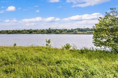 Duck Island is a 1,586 acre hunting and fishing oasis surrounded - photo 4