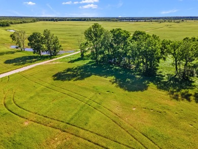 Duck Island is a 1,586 acre hunting and fishing oasis surrounded - photo 5