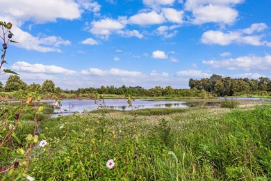 Duck Island is a 1,586 acre hunting and fishing oasis surrounded - photo 6