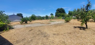 Fabulous properties for development. With R2 zoning it's a good - photo 17