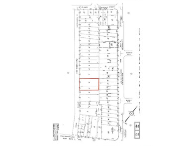Fabulous properties for development. With R2 zoning it's a good - photo 19