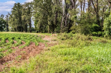 Duck Island is a 1,586 acre hunting and fishing oasis surrounded - photo 10